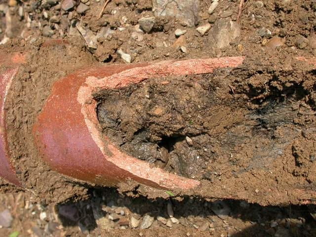 Oorspronkelijk bronbeeld bij Vochtproblemen oplossen